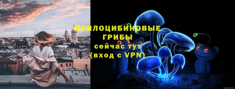 Галлюциногенные грибы мухоморы  Белёв 